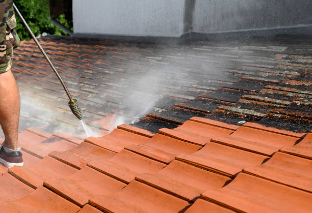 Best Affordable Pressure Washing  in Ozark, MO